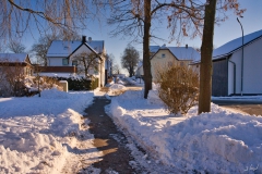 Schulzentrum